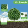 thumbnail image 3 of 25.6" Artificial Boxwood Topiary Ball Trees: 2 Pack Fake Shrubs with Spike –  Resistant & Fade Resistant Faux Bushes,  Spring Artificial Plants for Outdoor Indoor Front Porch Garden, 3 of 7