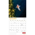 thumbnail image 4 of Canadian Geographic Marine Life | 2026 12x24" (Hanging) Square Wall Calendar, 4 of 9