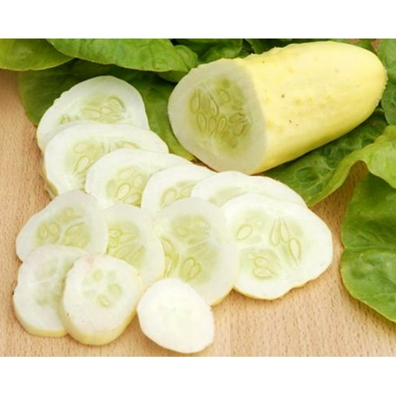 White Wonder Cucumber Seeds/ Annual/ Full Sun/  960 Seeds 1 oz/ Zellajake Farm and Garden - B142