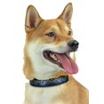 thumbnail image 1 of Zubaz NFL Collier Ajustable pour Animaux de Compagnie, Baltimore Ravens, Large, 1 of 4