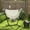 Cream White, variant on Outsunny U Shape Stand Hammock Chair, Headrest Include Hammock Swing, Dark Gray