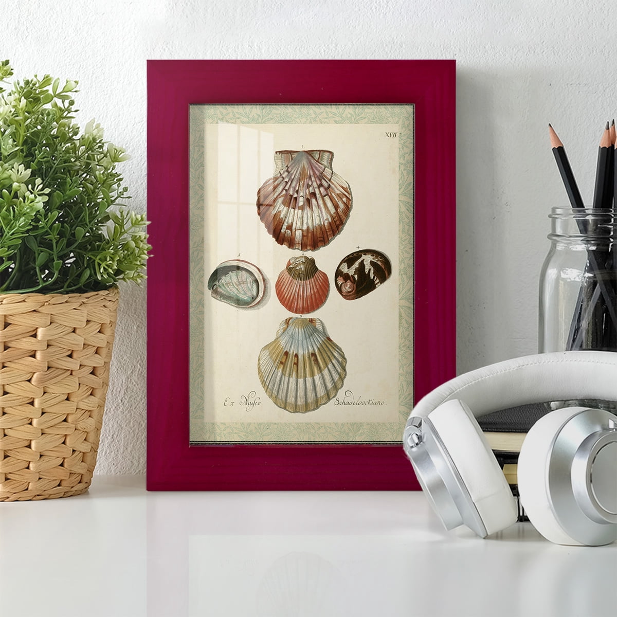 Bookplate Shells III - Framed Print w/glass - Cherry Red