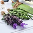 thumbnail image 2 of Healing Solutions 10ml Oils - Rosemary Essential Oil - 0.33 Fluid Ounces, 2 of 6