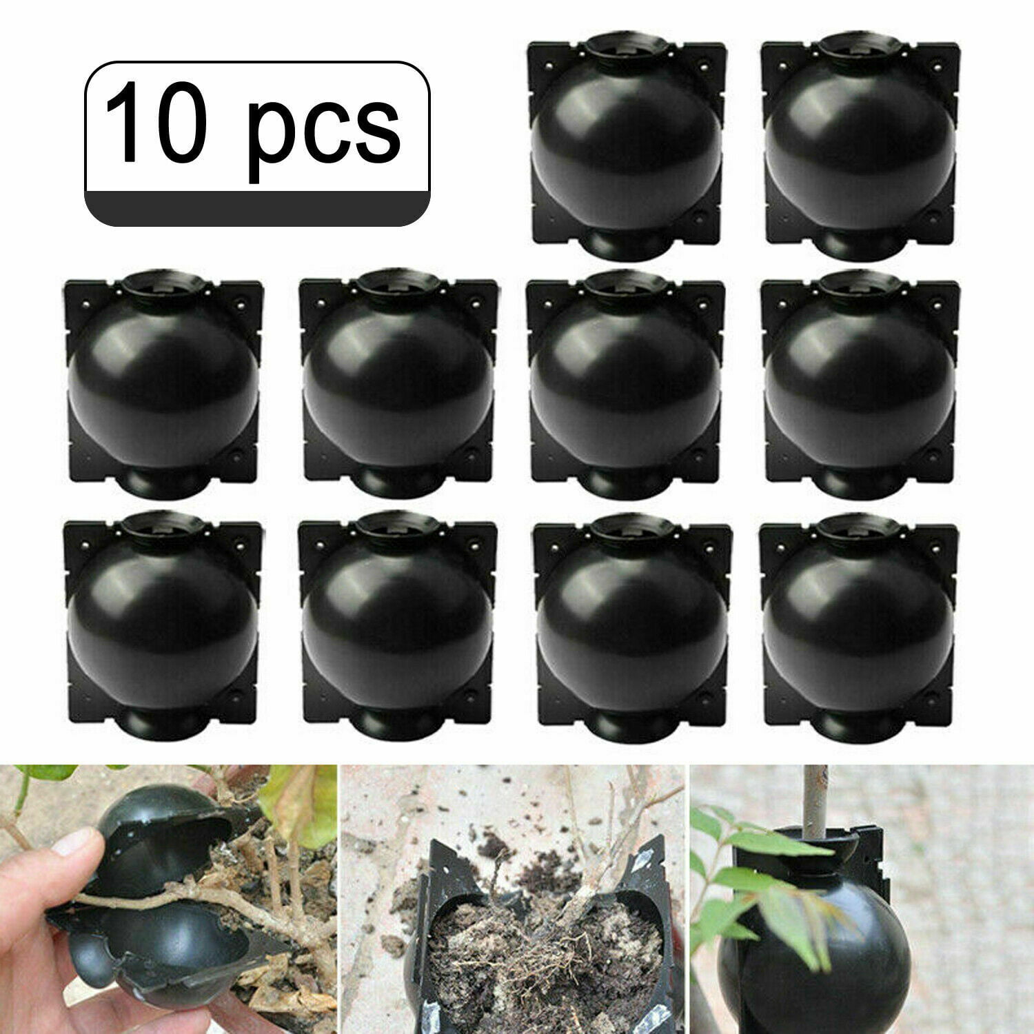 Details about   10Pcs Clear Visible Plant Root Grow Graft Balls High Pressure Propagation Boxes 