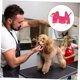 thumbnail image 5 of Hamaca para el cuidado de mascotas(l), 5 of 5