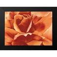thumbnail image 2 of Poelstra-Holzhaus, Yvonne 18x14 Black Modern Framed Museum Art Print Titled - Full in bloom II, 2 of 5