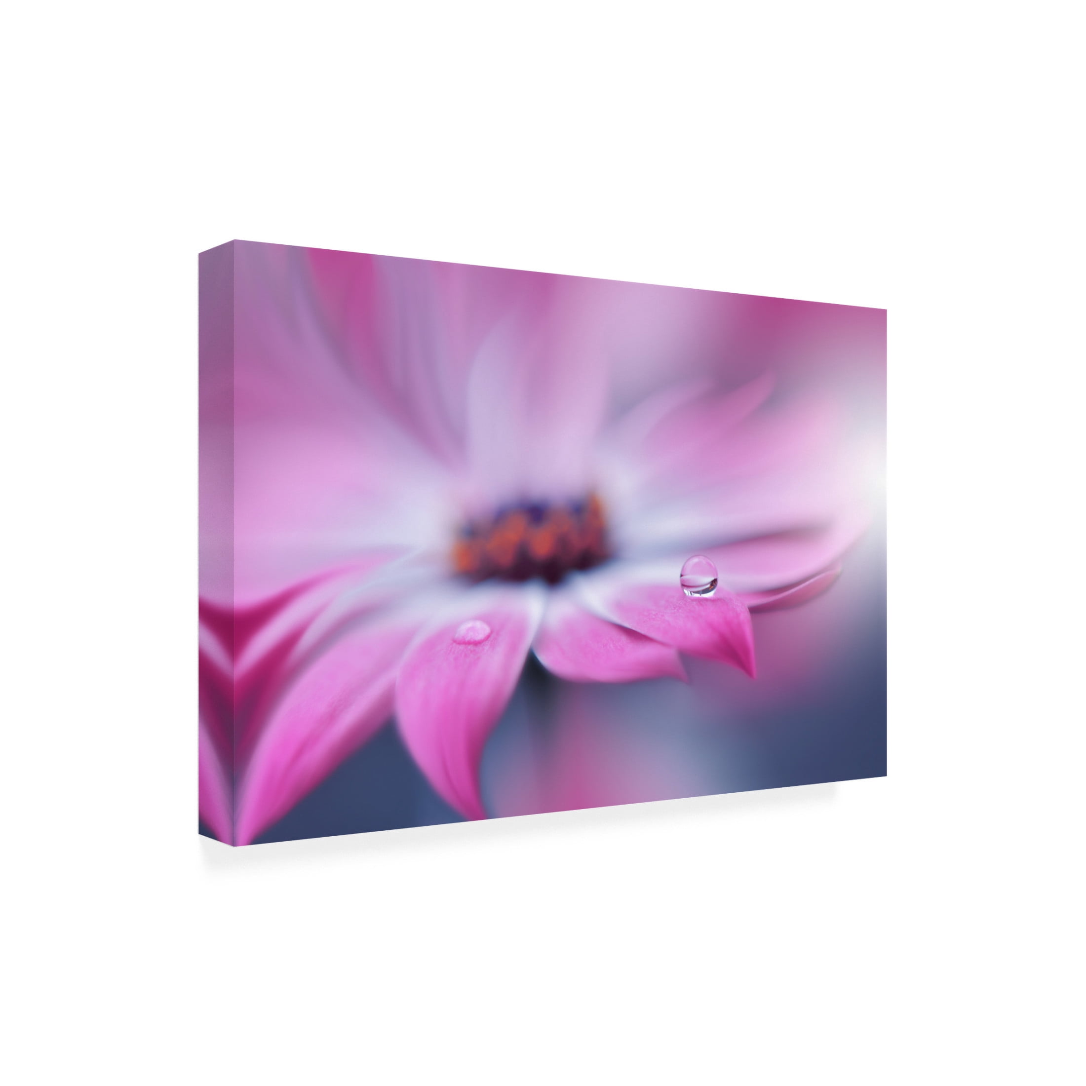 Canvas Wall Art - Juliana Nan 'Natural Purple' Wall Art for Living Room, Bedroom, or Office D?cor by Trademark Fine Art - 24 x 16 Inches