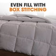 thumbnail image 4 of Cheer Collection All Season Down Alternative Hypoallergenic Comforter, 4 of 5