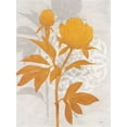 thumbnail image 2 of Stoyanov, Ivo 15x18 White Modern Wood Framed Museum Art Print Titled - Amber Peony 1, 2 of 4