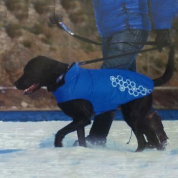 rc pet products venture outerwear fleece lined reflective water resistant dog coat size 28 electric blue