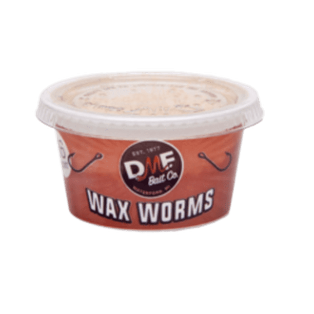 Dmf Bait Co Live Wax Worms Live Fish Bait Walmart Com Walmart Com
