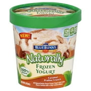Wells Dairy Blue Bunny Naturally Frozen Yogurt, 1 pt