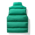 thumbnail image 3 of Birdeem Men's Down Feather Button with Pockets Stand Collar Zipper Top Sleeveless Padded Jacket, 3 of 12