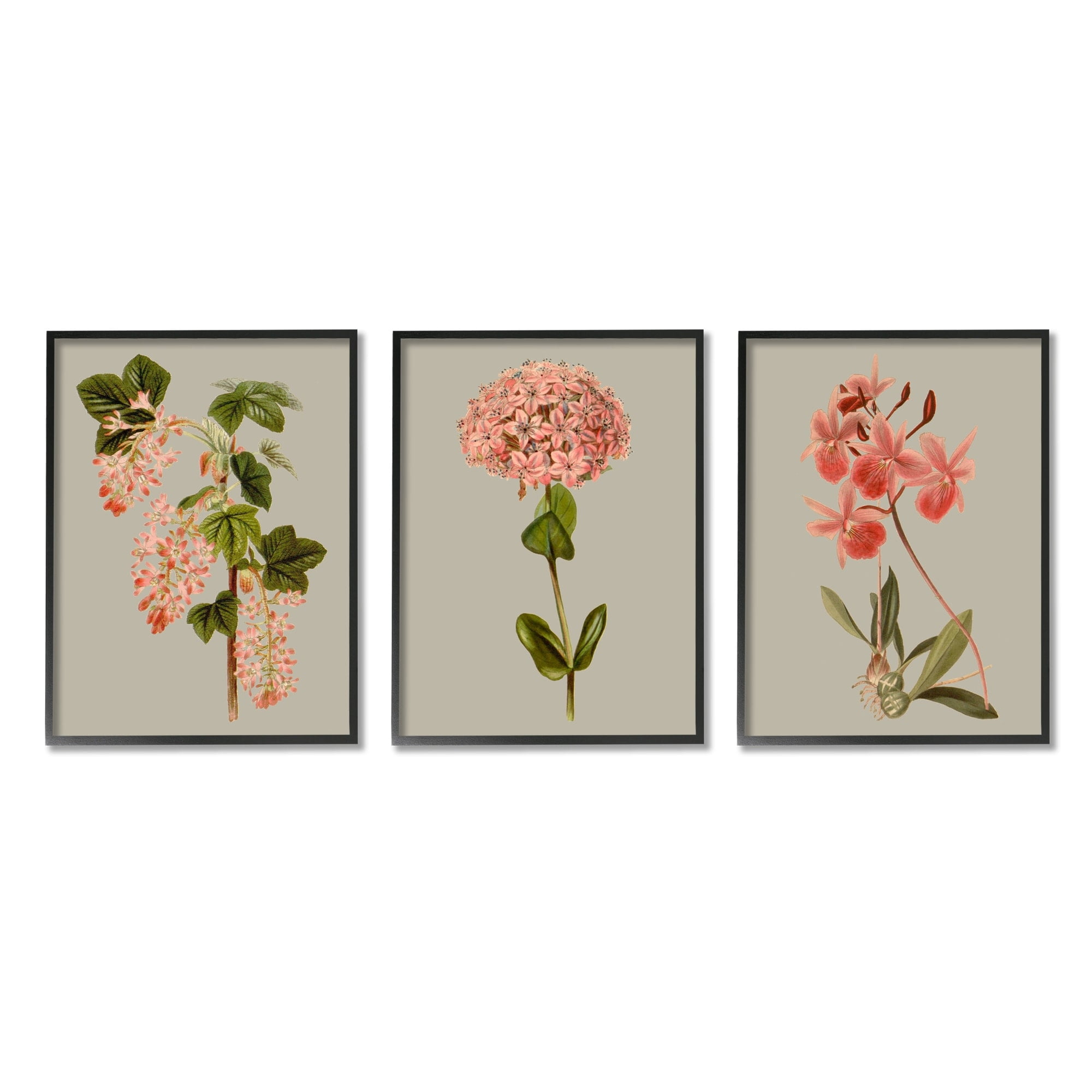 Stupell Industries Vintage Pink Floral Clusters Spring Lilac Illustrations Graphic Art White Framed Art Print Wall Art Set of 3, 16x20, by Vision Studio