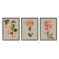 thumbnail image 2 of Stupell Industries Vintage Pink Floral Clusters Spring Lilac Illustrations Graphic Art Gray Framed Art Print Wall Art Set of 3, 16x20, by Vision Studio, 2 of 5