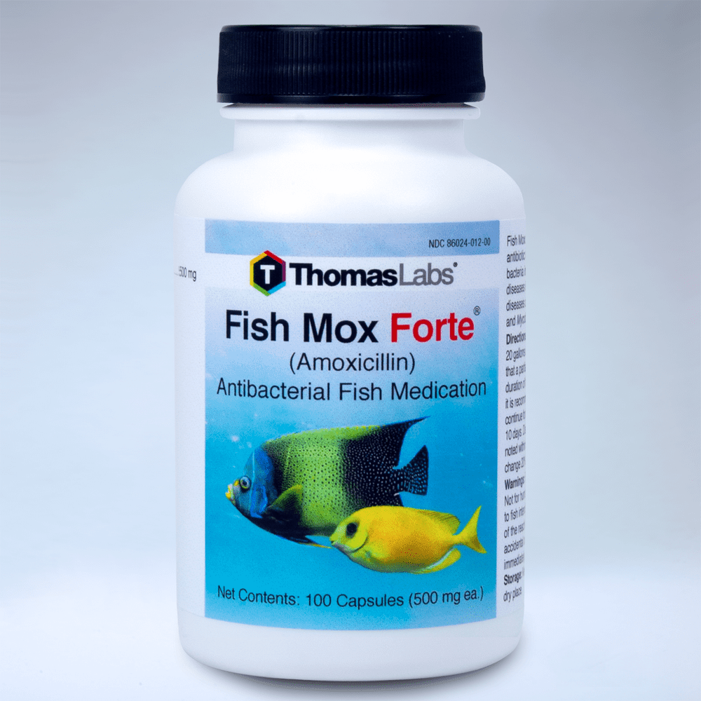 Thomas Labs Fish Mox Forte (Amoxicillin) Antibacterial Fish Medication