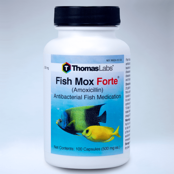 Thomas Labs Fish Mox Forte (Amoxicillin) Antibacterial