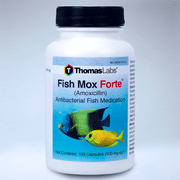 Thomas Labs Fish Mox Forte (Amoxicillin) Antibacterial Fish Medication, 100 ct. (500 mg. ea.)
