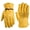Yellow, variant on HOMEIORA Leather Work Gloves for Men - Heavy Duty, Leather, Abrasion & Puncture Resistant - Adjustable Wrist, Gunn Cut Design, Ideal for Ranching, Farming, Construction, S, Yellow