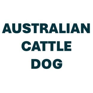 Australian Cattle Dog Pill Butter
