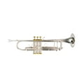 thumbnail image 2 of DTR-800SG Trumpet, silver plated finish, gold plated valve caps,Hexagonal shaped valve caps Bb, with case and mouthpiece, 2 of 4