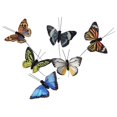 thumbnail image 3 of Set de 12 decoraciones de mariposas y plumas artificiales Berfutall, 3 of 6