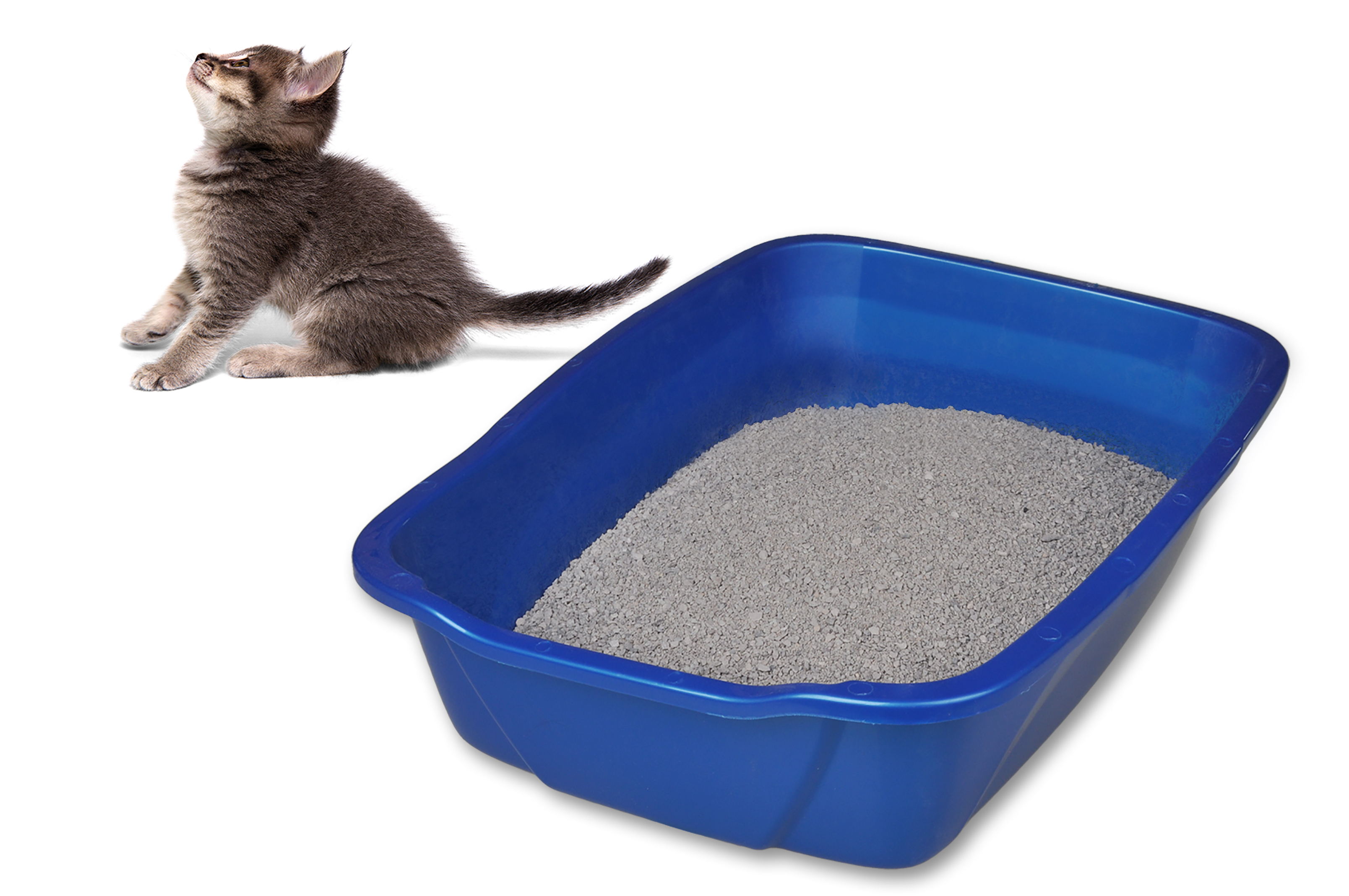 Van Ness Cat Litter Pan, Small, Color May Vary