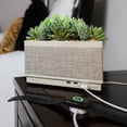 thumbnail image 2 of iHome PowerPlant Charging Station with Bluetooth Speaker, Faux Succulent with USB Charging Station (iPP60), 2 of 4
