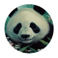 thumbnail image 2 of JEUXUS Round Fitted Tablecloth with Elastic Edged, Panda Round Table Cover, Colorful Flowers Waterproof Table Cover for Kitchen Dining Holiday Parties Decoration,Fit for Round Tables, 2 of 7