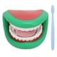 thumbnail image 2 of Marioneta De Boca Dental, 28 Dientes, Marioneta De Mano, Entrenamiento Del Habla Con Cepillo De Dientes Para Niños, 2 of 7