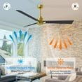 thumbnail image 4 of Matthews Fan Company AK-BRBR-BK-56 Alessandra 56” Brushed Brass Ceiling Fan with 3 Matte Black Blades, Remote Control, Indoor/Outdoor Wet Rated, 4 of 6