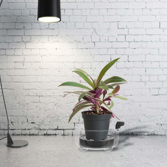 SWETRACE Resistente Para Drenaje De Macetas Con Borde Alto Ideal Para Plantas Semiaquáticas