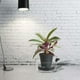 thumbnail image 1 of SWETRACE Resistente Para Drenaje De Macetas Con Borde Alto Ideal Para Plantas Semiaquáticas, 1 of 6
