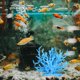 thumbnail image 4 of Besimple Acuario Artificial Coral Adorno Plástico Pecera Plantas Decoración para Acuario Paisaje, 4 of 7