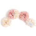 thumbnail image 3 of U Brands Mini Flower Magnets Set, Office Supplies, Pink and Cream, 12 Count, 3 of 5