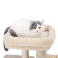View all media