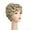 Yellow, variant on Lacey Wigs LW762CBL Adult E Taylor Wig, Champagne Blonde