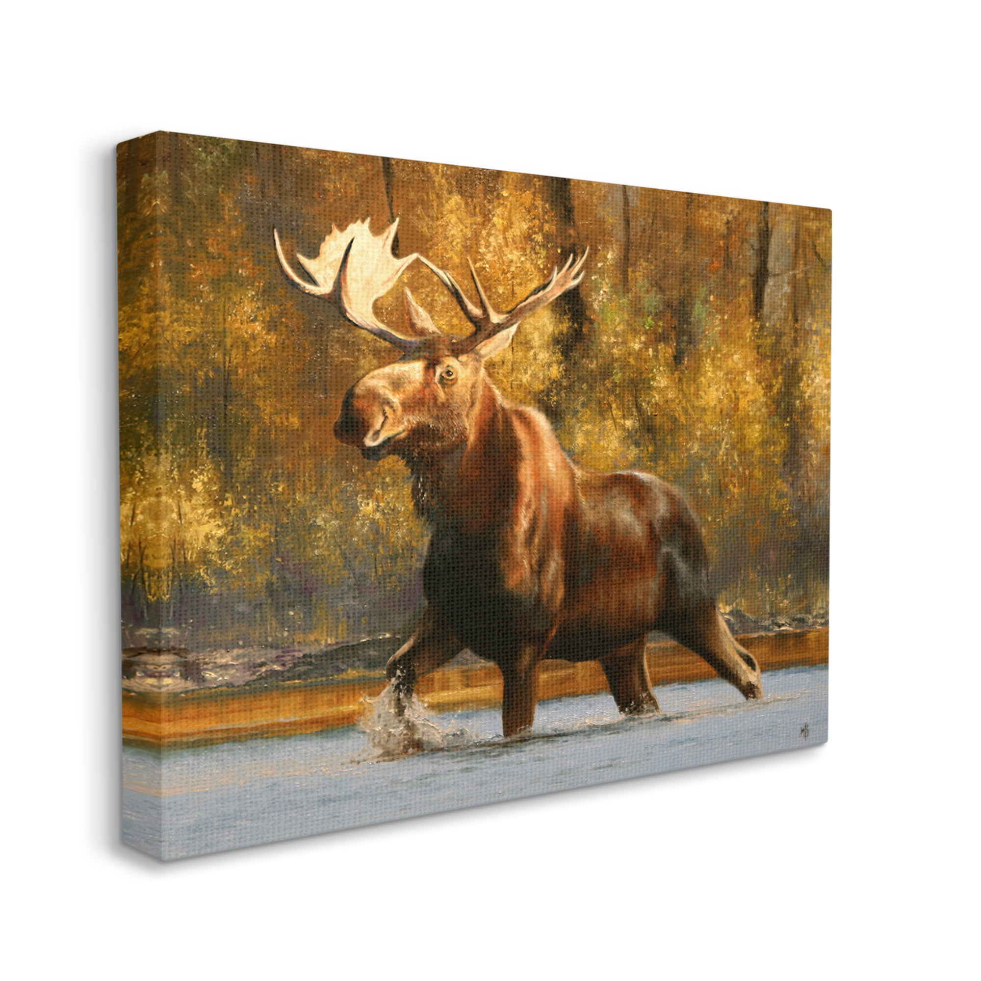 Stupell Industries Moose Stepping River Foliage Animals & Insects Photography Gallery Wrapped Canvas Print Wall Art, 48 x 36