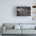 thumbnail image 2 of Trademark Fine Art Xavier Ortega Leopard on the prowl Canvas Wall Art, 2 of 4