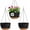 black brown, variant on West Bay 3 Set Hanging Planter with Macrame Plant Hangers Indoor Outdoor, Hanging Baskets for Plant, Flower Self Watering Pots Holders (Black)