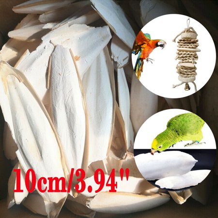 10/20x 3.94" Long Cuttlefish Cuttlebone Bone Sepia Cuttle Fish Bird Food Calcium