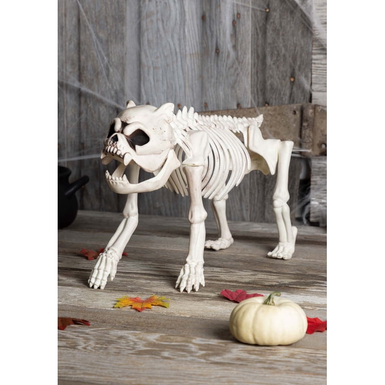 Beagle Bonez Skeleton Dog - Posable Halloween Decor, Bendable Tail & Jaw