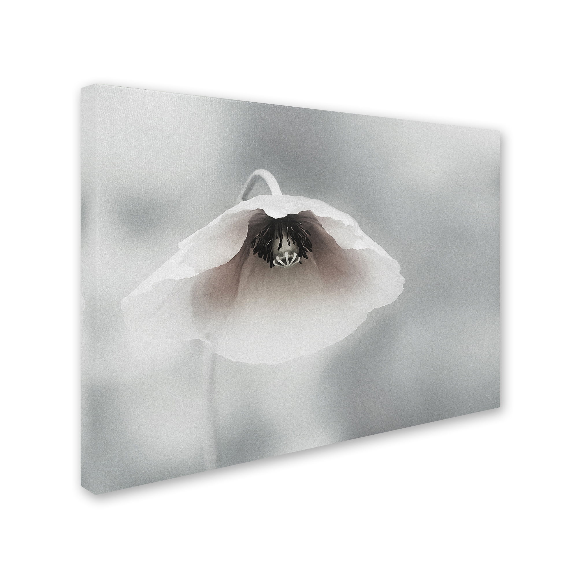 Piet Flour 'Ephemeral Beauty' Canvas Art
