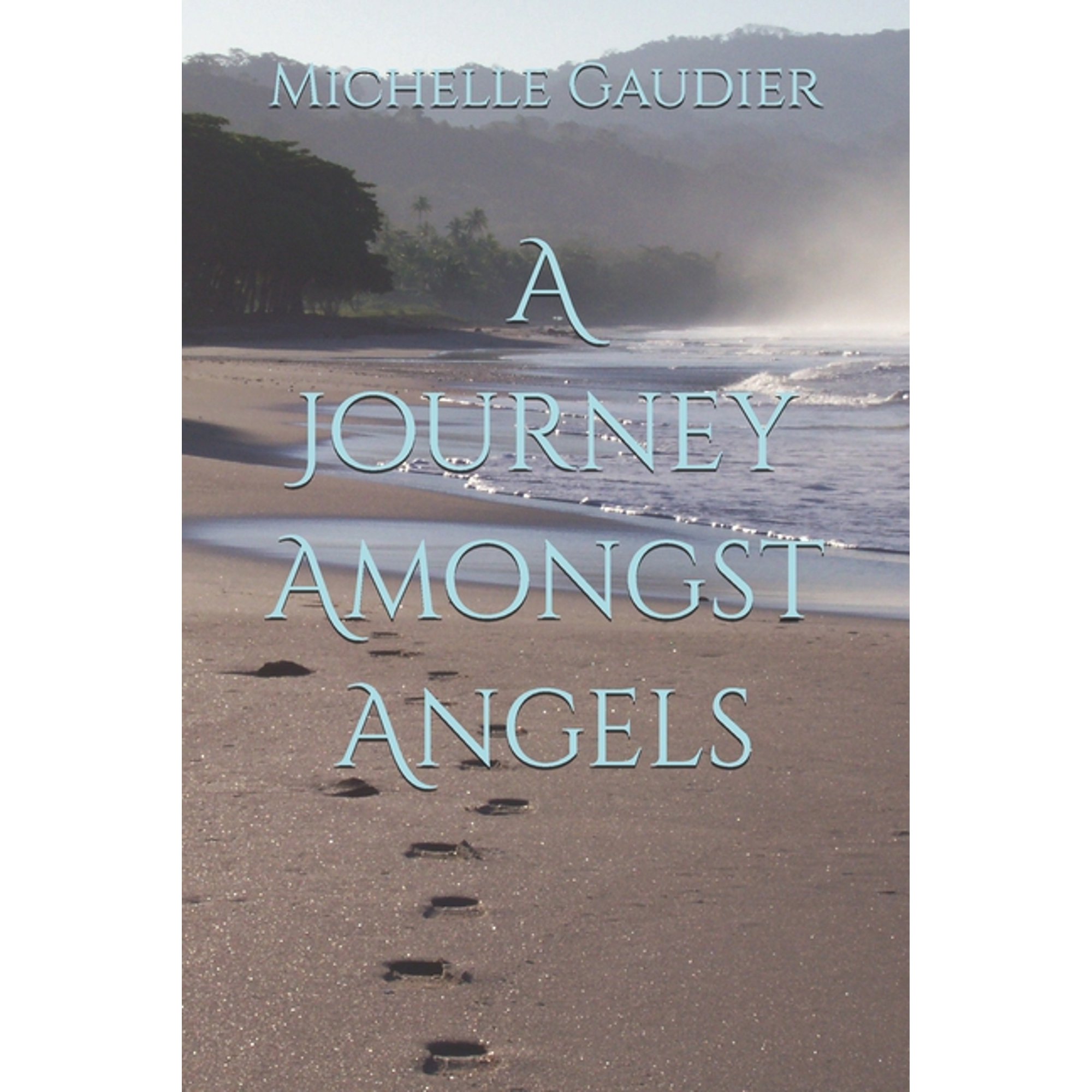A Journey Amongst Angels (Paperback)