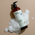 thumbnail image 5 of Plant Therapy Vanilla Woods Body Wash 16 oz For all Skin Types, Sulfate Free Body Wash, For Men or Women, Sophisticated Sweet & Woody Scent, Lush, Hydrating Lather, Cleanses & Soothes Skin, 5 of 9