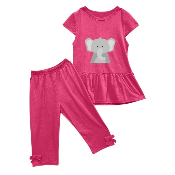 Zwiiyzr 1-10 Years Little & Big Girl Summer Outfits Cartoon Ruffle Short Sleeved Flutter Sleeve Elastic Waist Cropped Pants Daisy 2Pcs Clothing Set Hot Pink