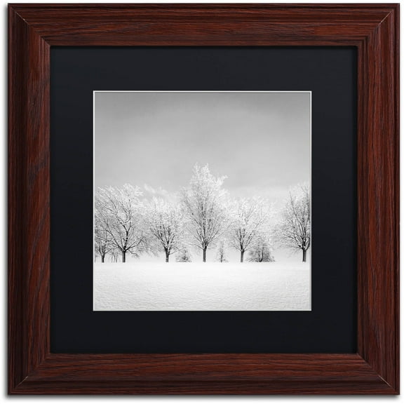 Dave MacVicar 'Ice Storm' Black Matted Framed Art