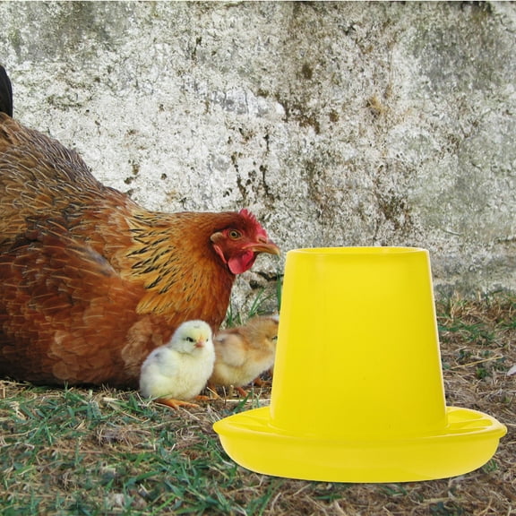 HAKIDZEL small chicken feeder Plastic for Poultry Home Breeding 2Pcs