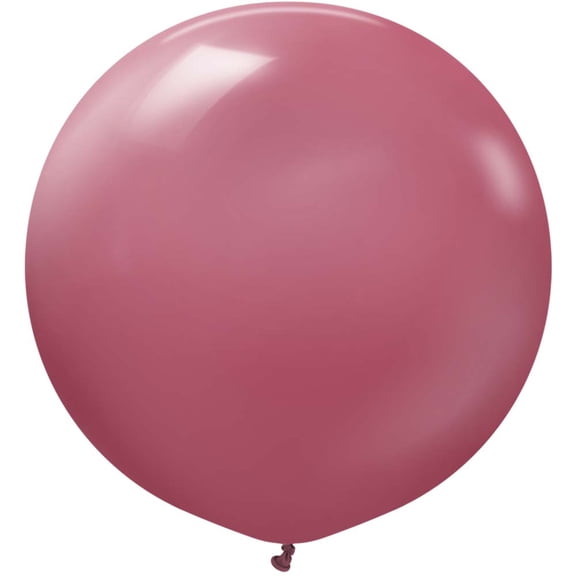 24 inch Kalisan Retro Wild Berry Latex Balloons (2 Pack) - Party Supplies Decorations