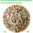 thumbnail image 2 of 2lb Bonsai Succulent and Cactus Soil Gritty Mix Rocks Faster Draining Optimized PH No Root Rot, 2 of 3